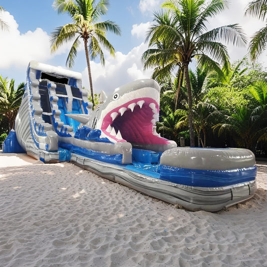 Shark Water Slide Bounce