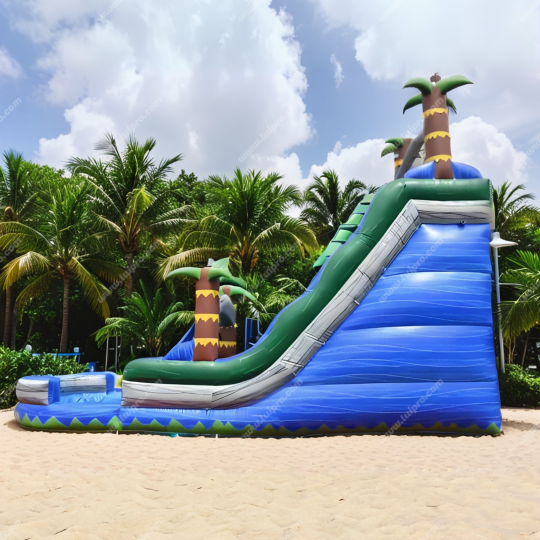Dive Inflatable Water Slide