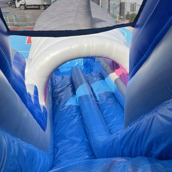 Shark Water Slide Bounce