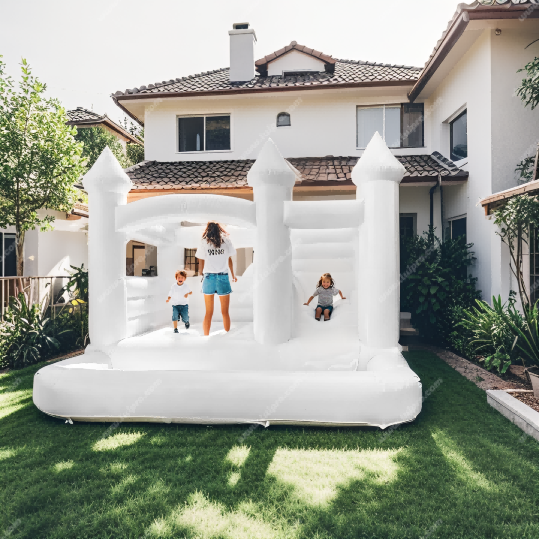 Inflatable Slide Pit Bounce House