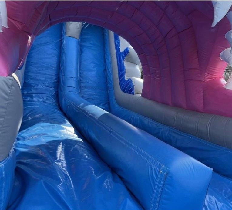 Shark Water Slide Bounce